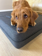 Dog Steps product image 5