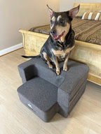 Dog Steps product image 6