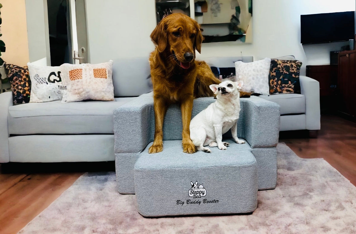 Dog Steps product image 8