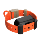 Training Collar Setup product image 12