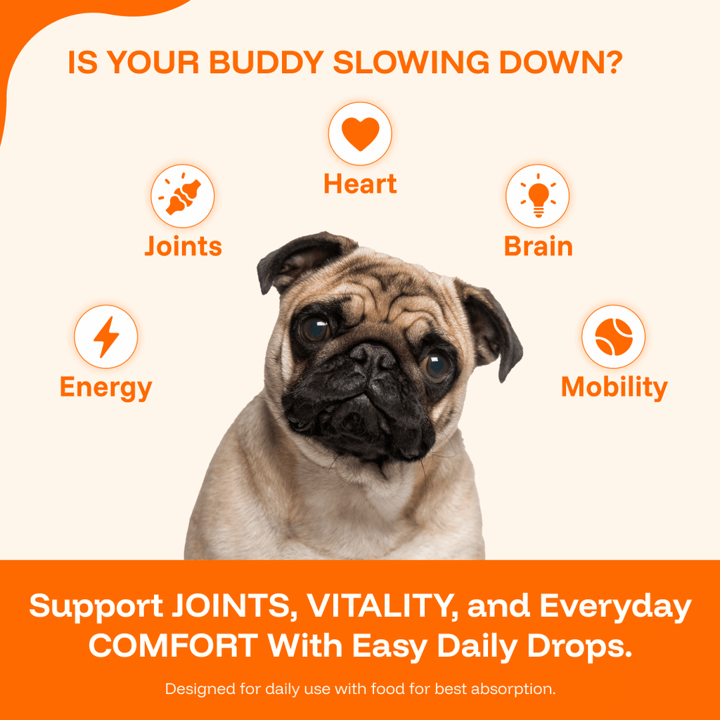 Pawprint Wellness Protocol