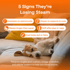 Pawprint Wellness Protocol