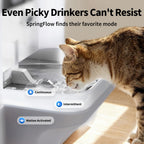 Pet Water Fountain product image 4