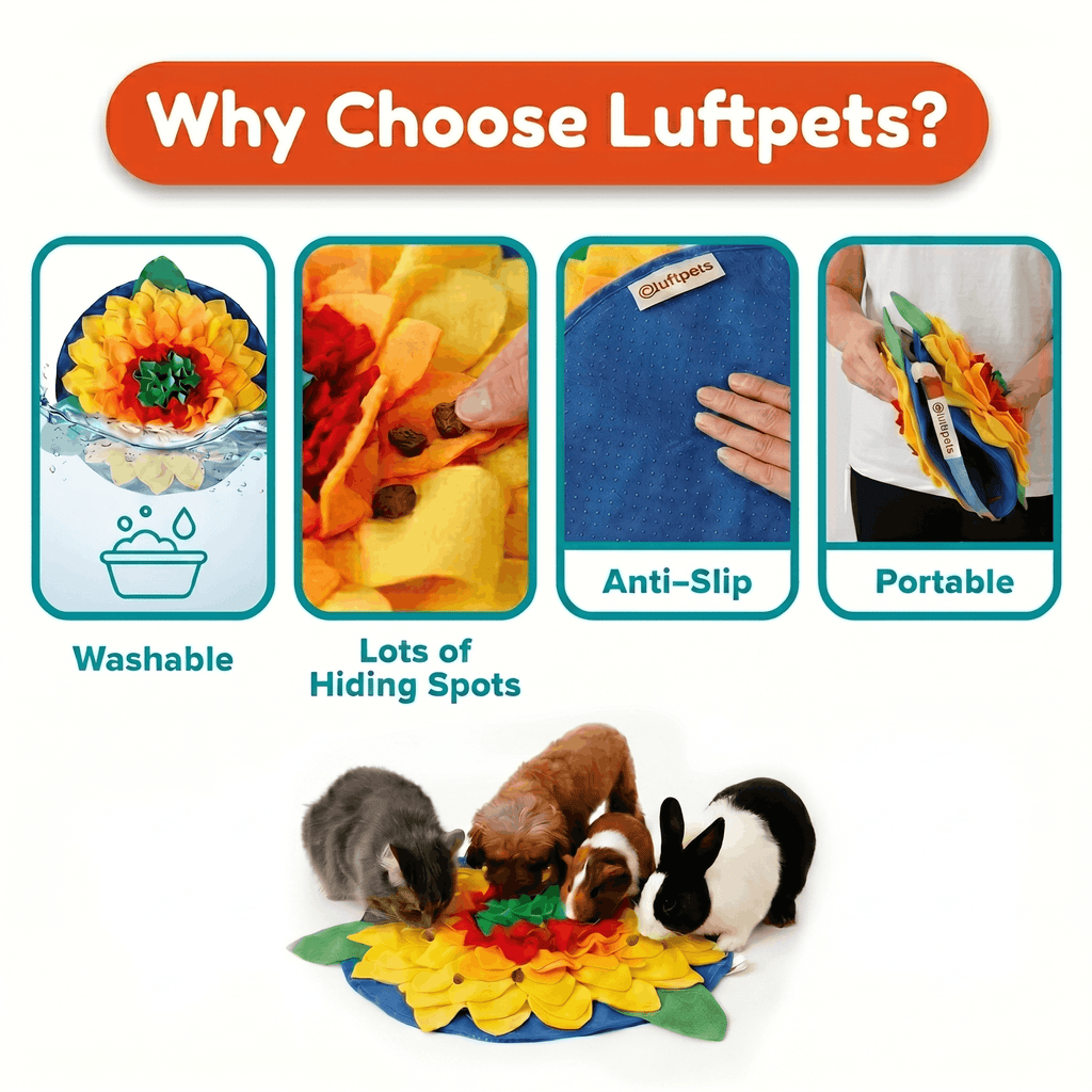 Pet Snuffle Mat product image 8