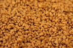 Olive Pit Cat Litter product image 5