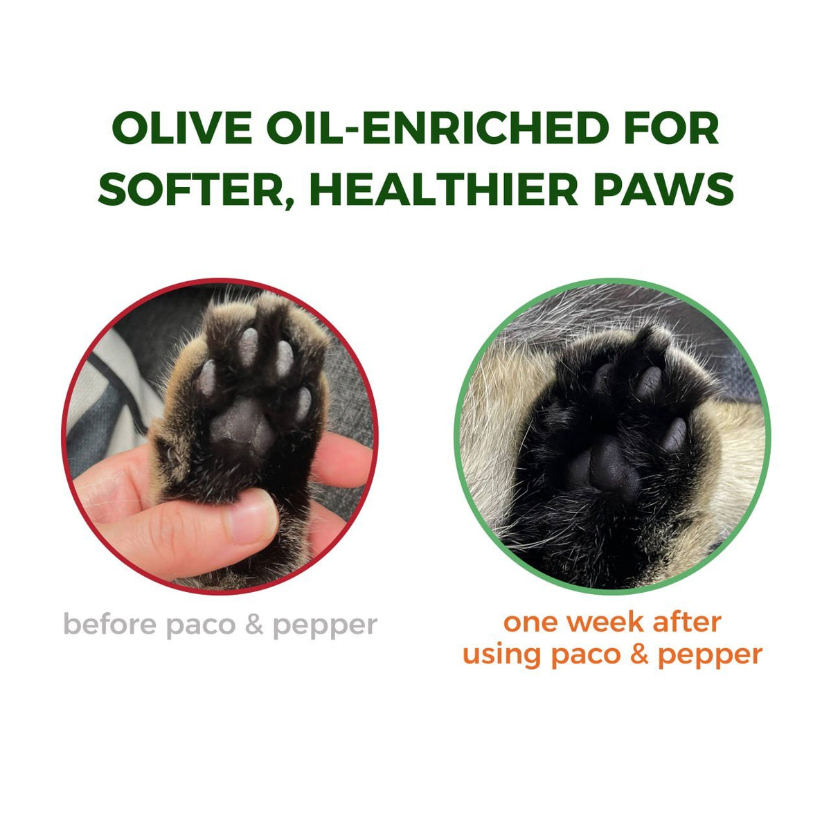 Olive Pit Cat Litter product image 10