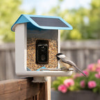 Video Camera Bird Feeder product image 1