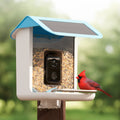 Video Camera Bird Feeder product image 3