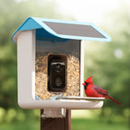 Video Camera Bird Feeder product image 3