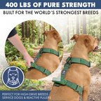 No-Pull Dog Harness Walking Set product image 32
