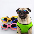 Dog Goggles product image 1