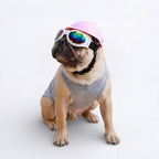 Dog Goggles product image 2