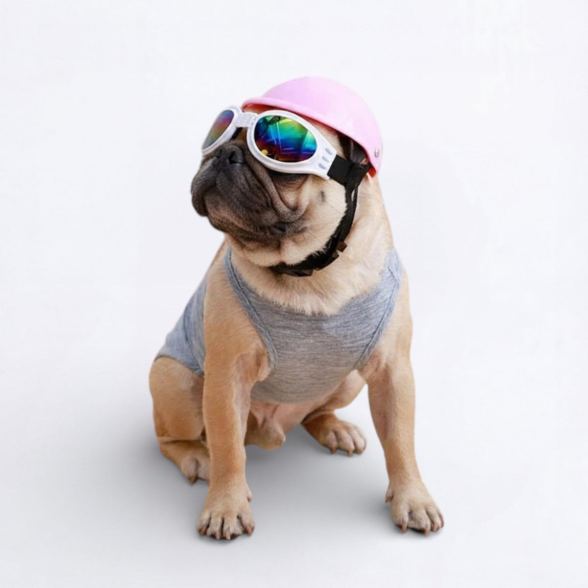 Dog Goggles product image 2