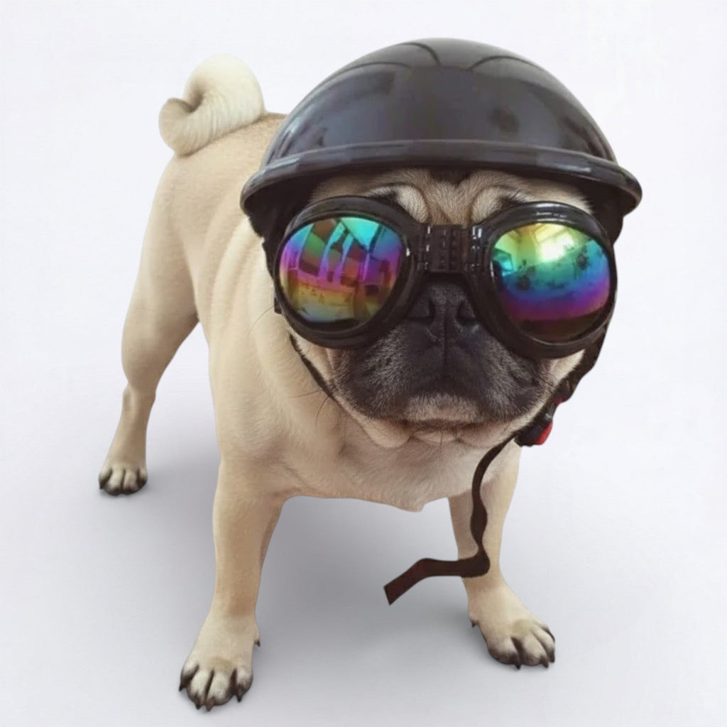Dog Goggles product image 7
