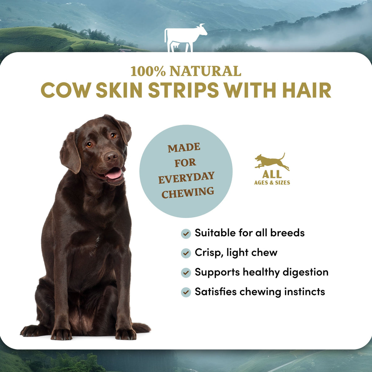 Cow Skin Dog Treats product image 7