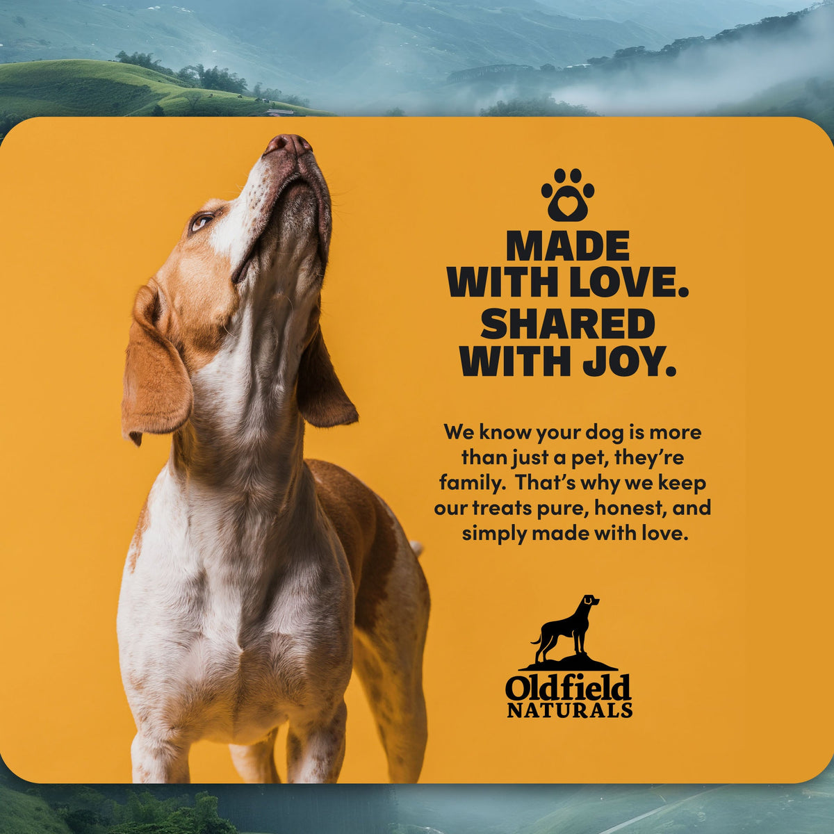 Cow Skin Dog Treats product image 8