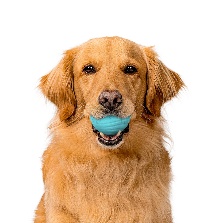 Dog Chew Ball product image 4