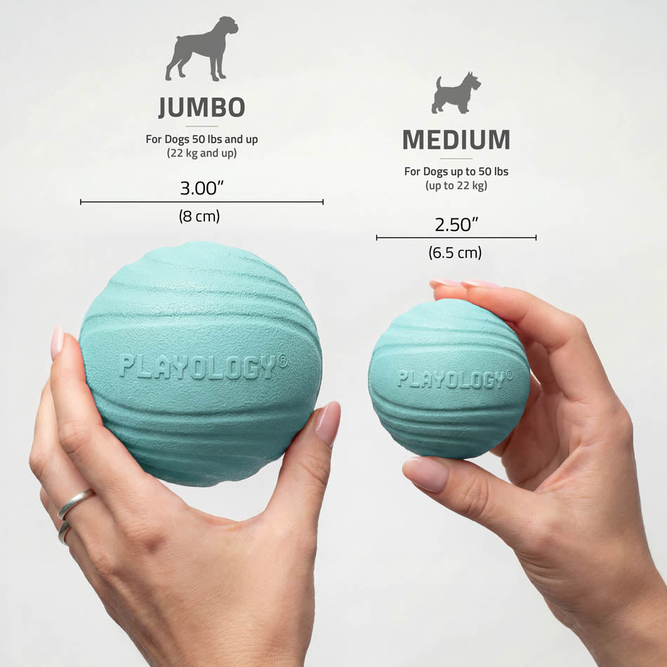 Dog Chew Ball product image 5