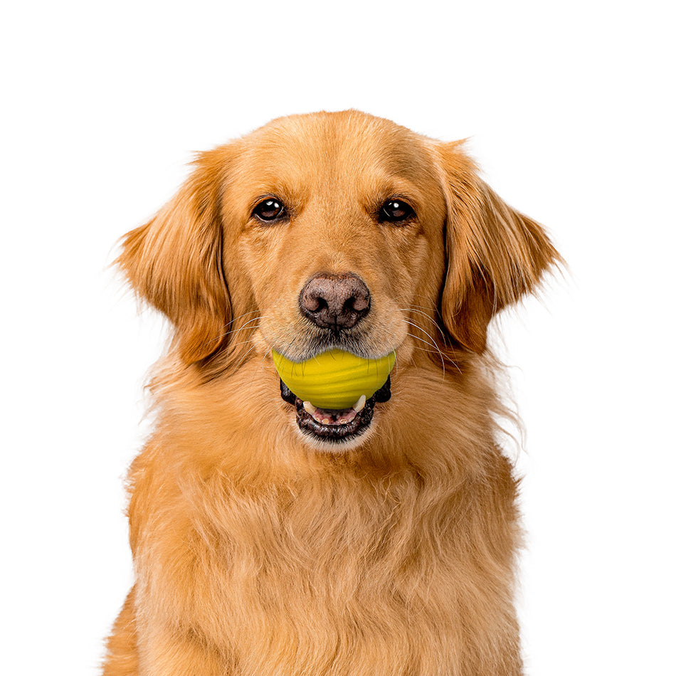 Dog Chew Ball product image 8