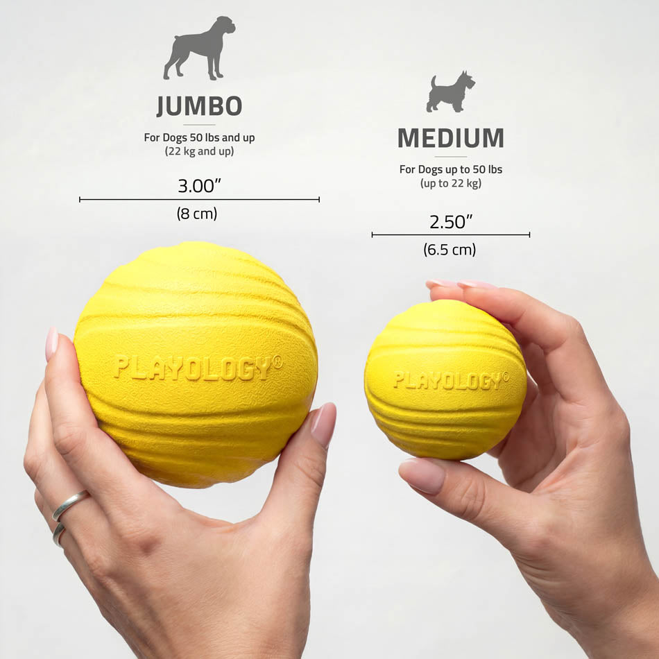 Dog Chew Ball product image 10