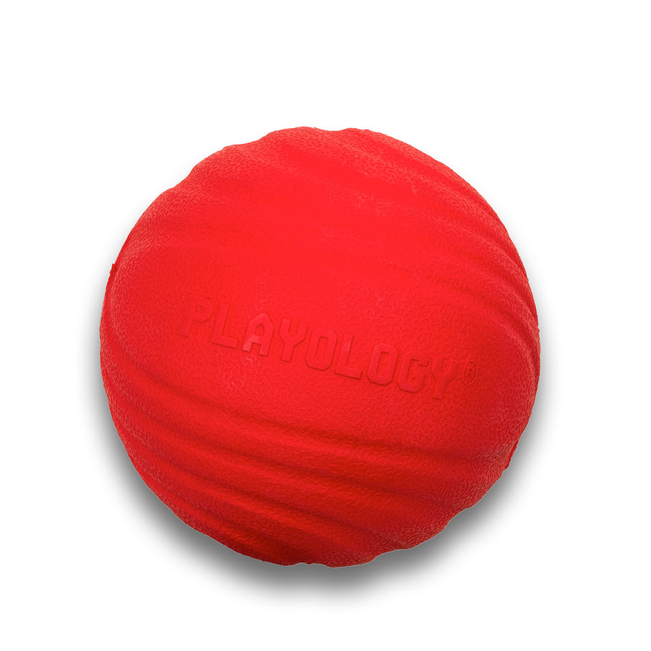 Dog Chew Ball product image 11