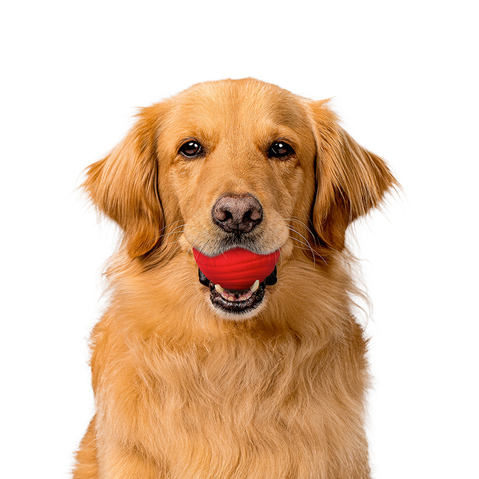 Dog Chew Ball product image 13