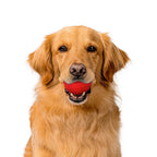 Dog Chew Ball product image 13