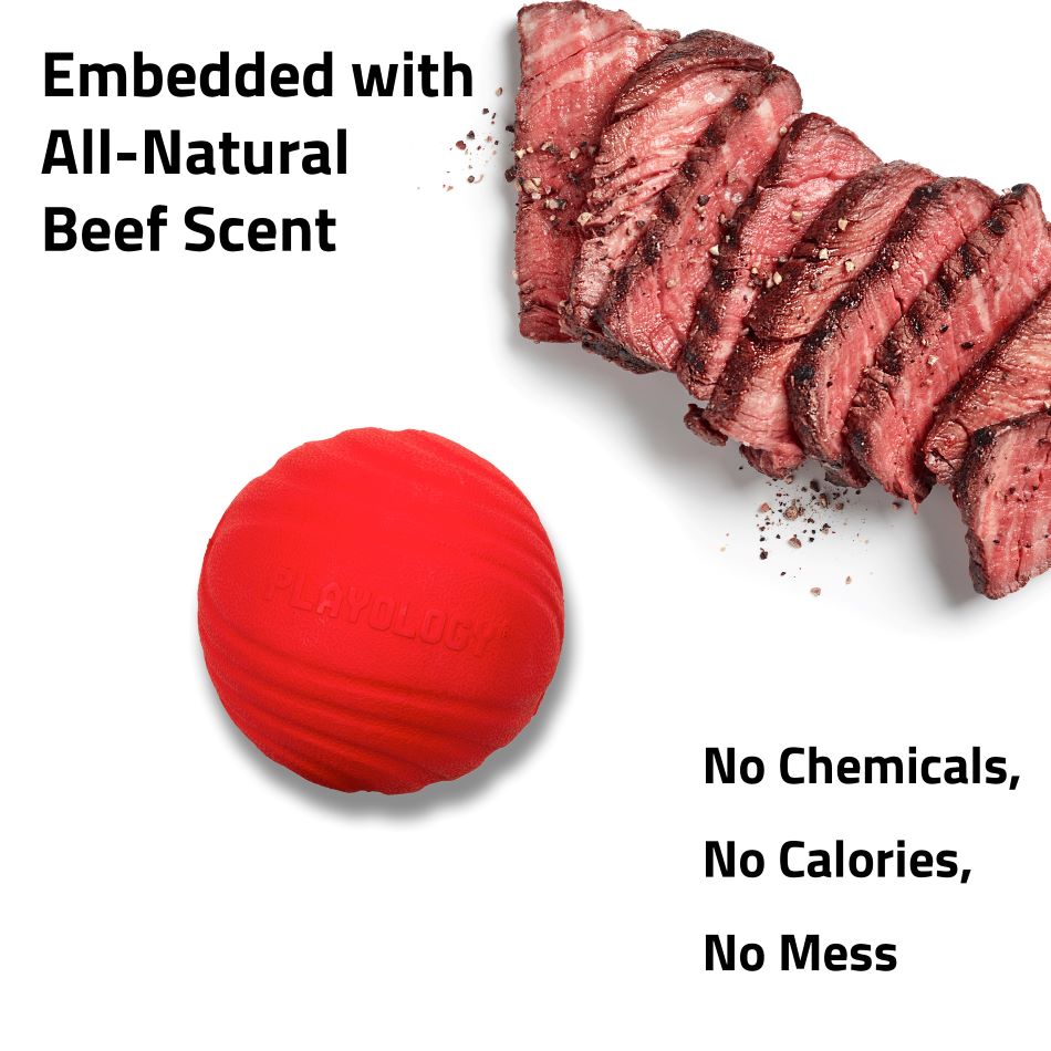Dog Chew Ball product image 14