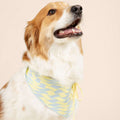 Dog Bandana product image 1