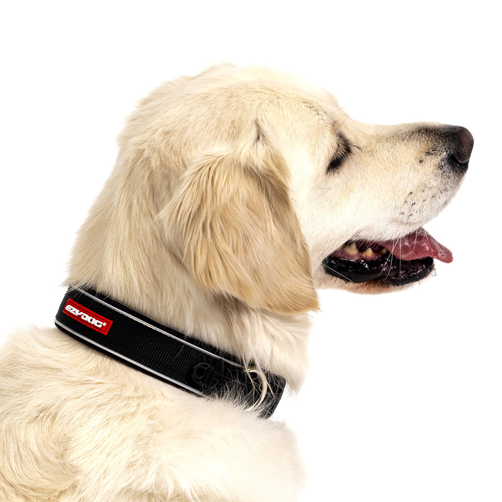Dog Collar product image 2