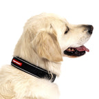 Dog Collar product image 2