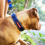 Dog Collar product image 3