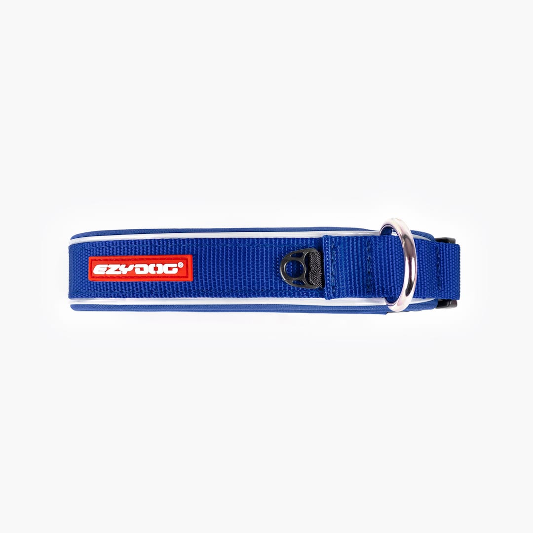 Dog Collar product image 14