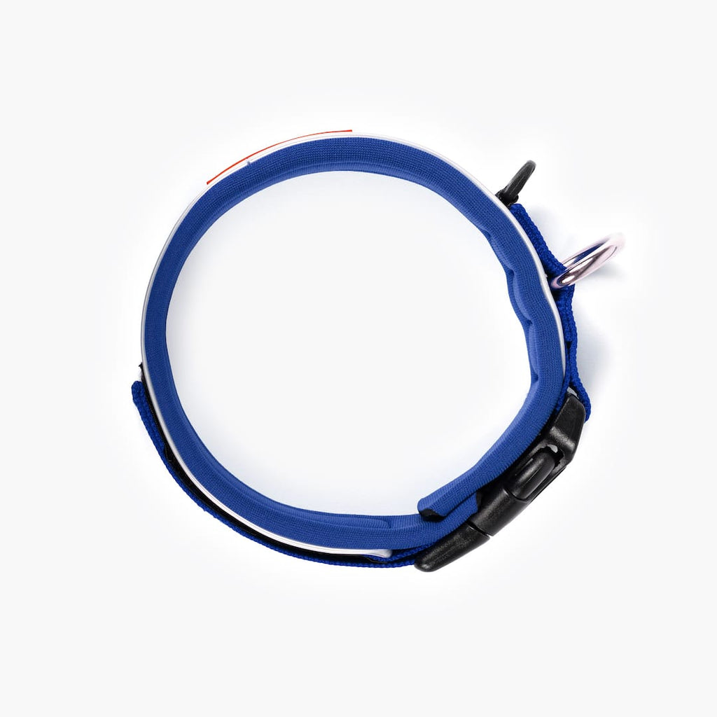 Dog Collar product image 16