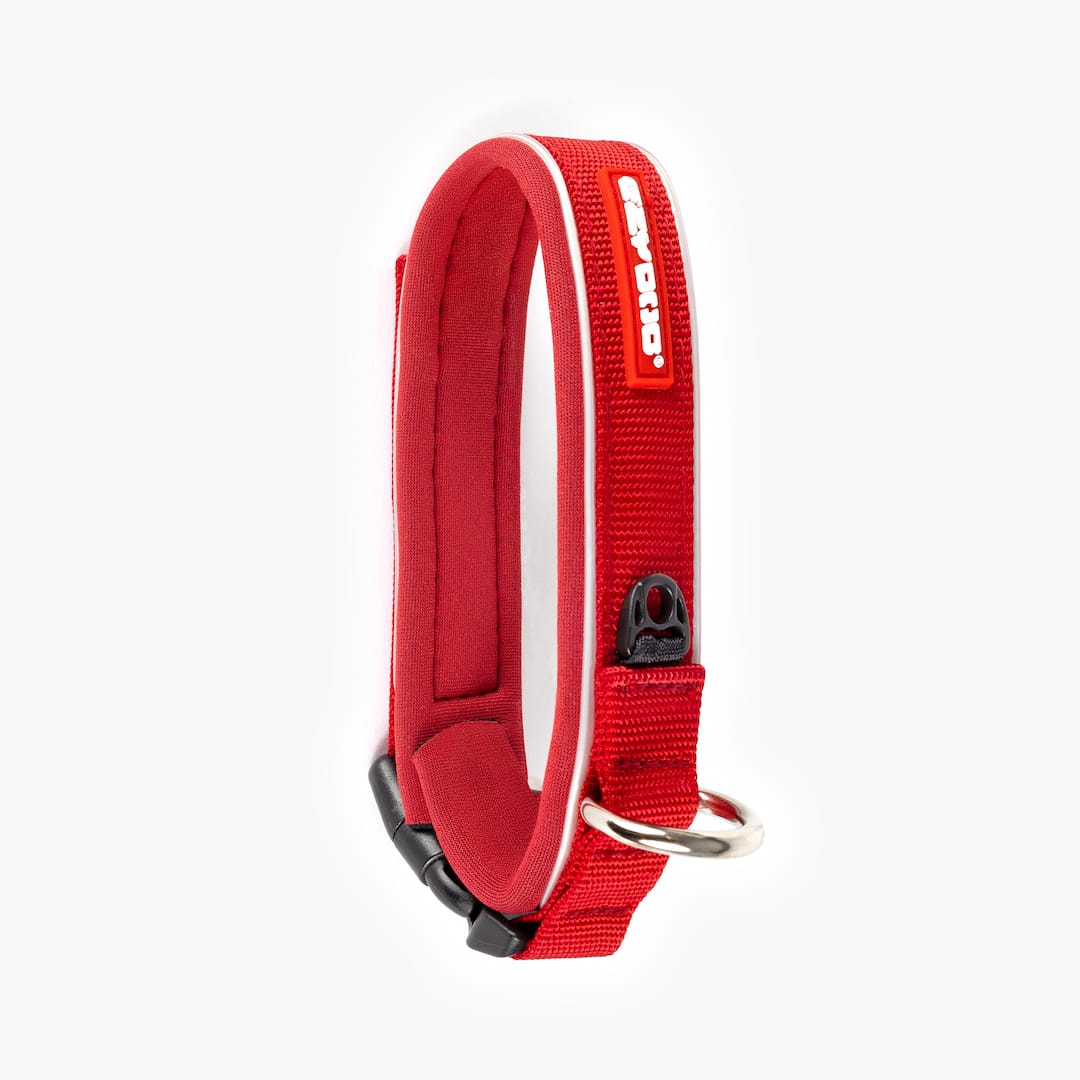 Dog Collar product image 17