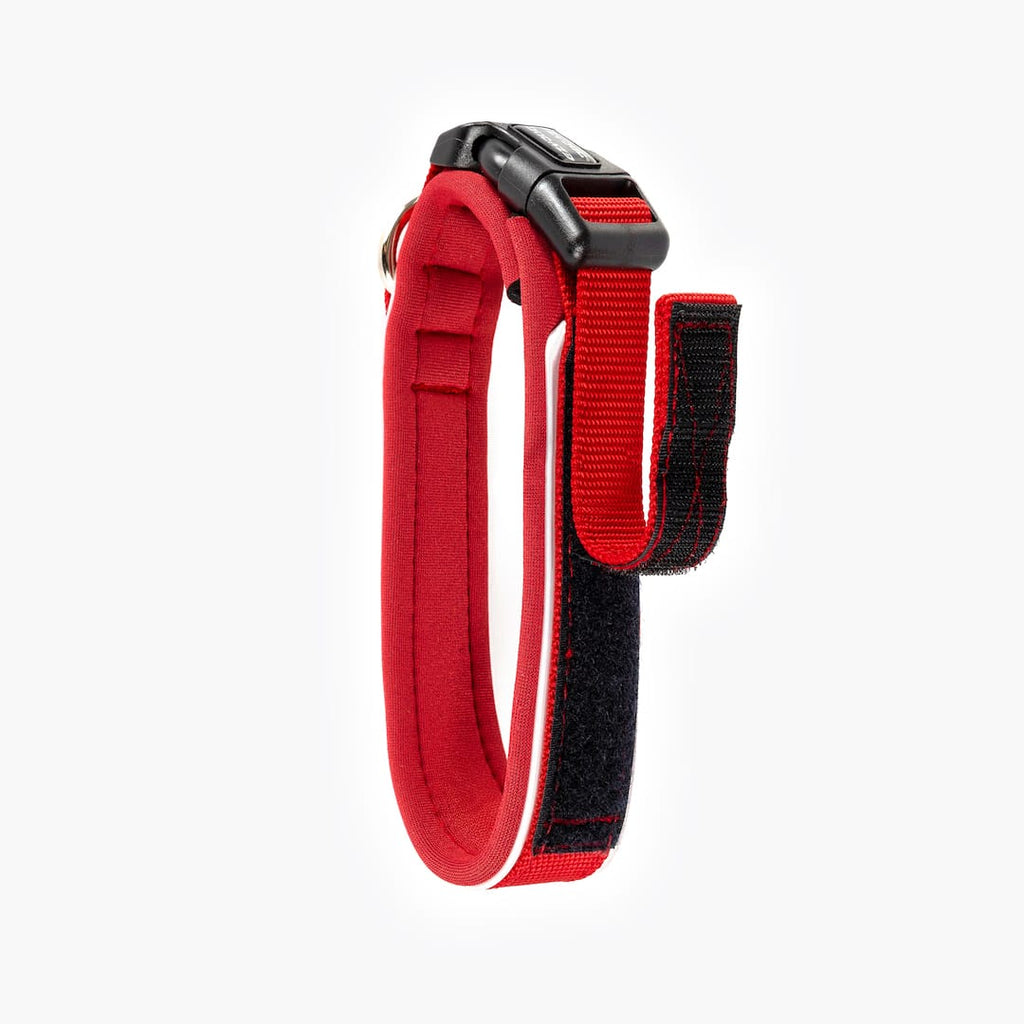 Dog Collar product image 18