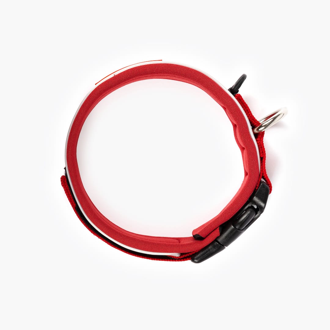 Dog Collar product image 20