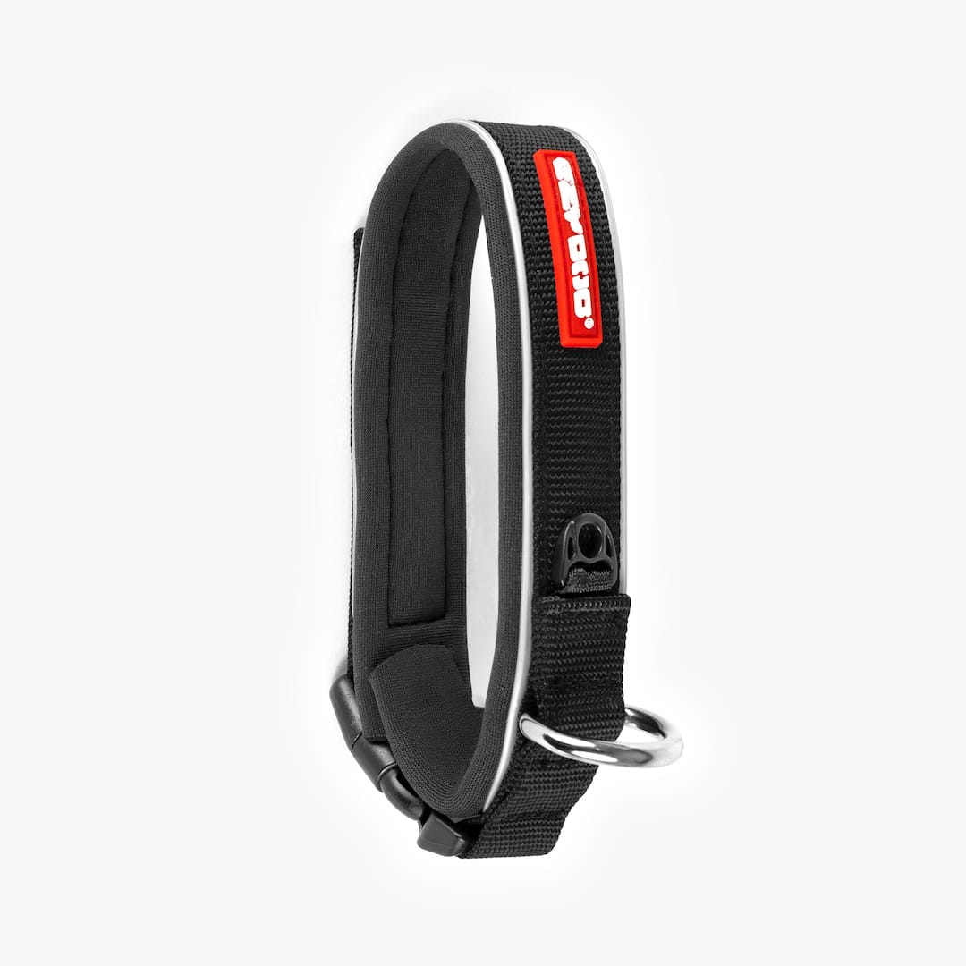 Dog Collar product image 22