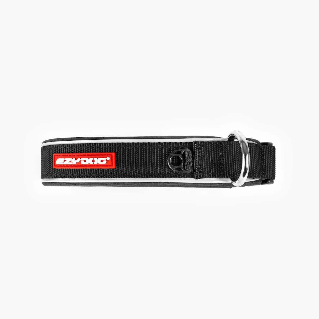 Dog Collar product image 24