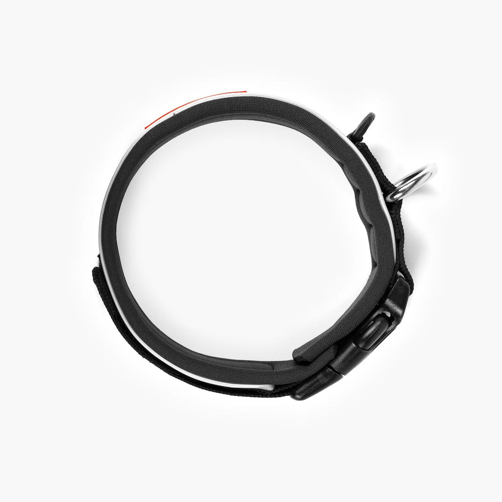 Dog Collar product image 25