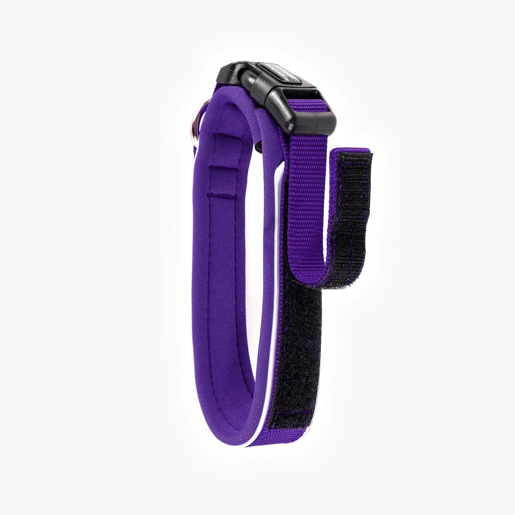 Dog Collar product image 28