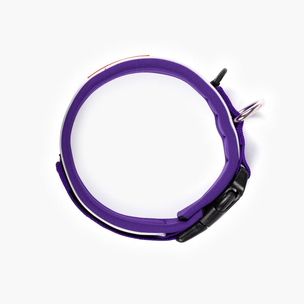 Dog Collar product image 30