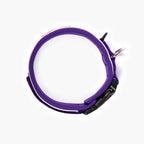 Dog Collar product image 30