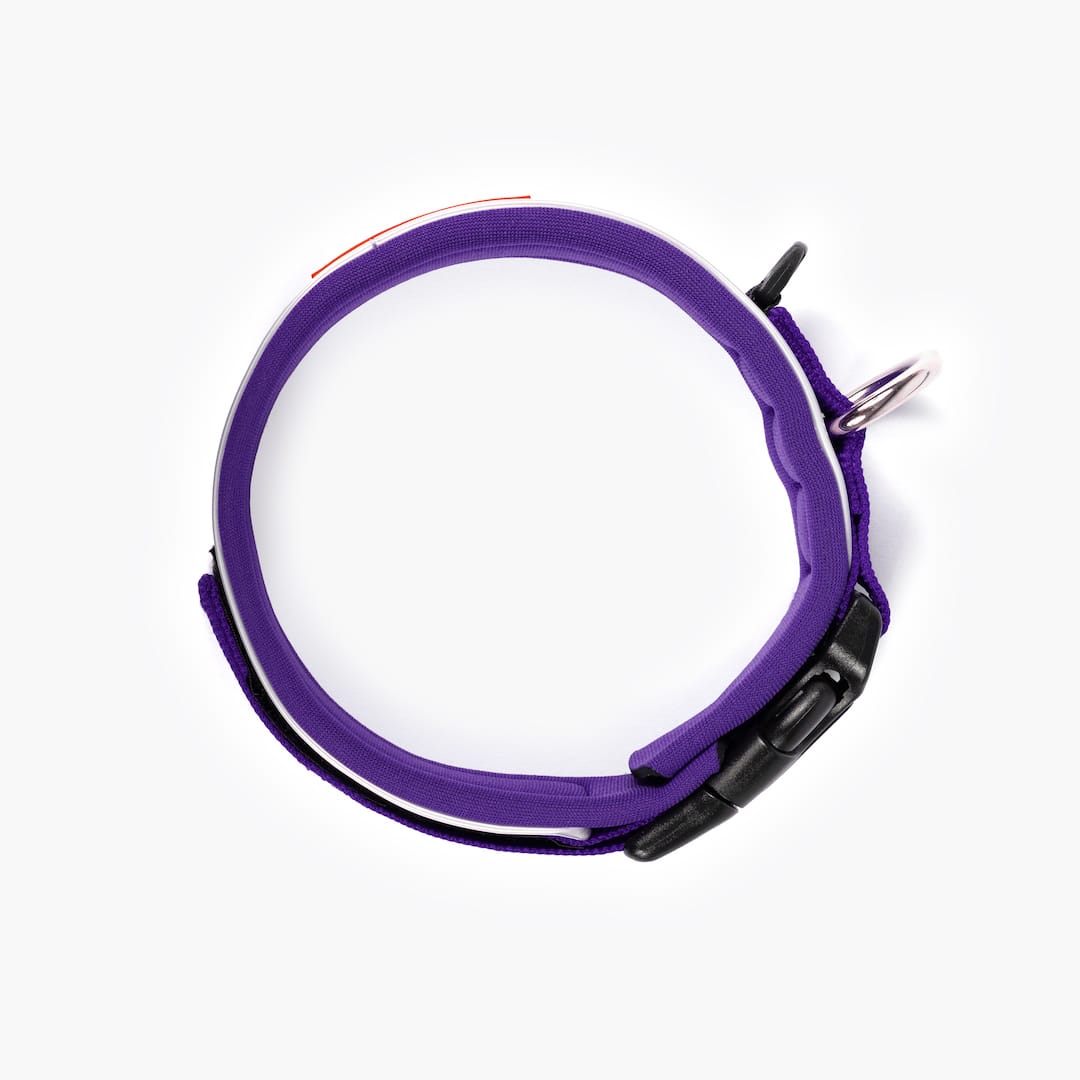 Dog Collar product image 30