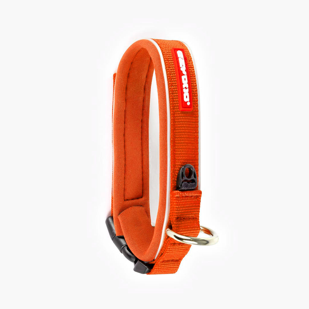 Dog Collar product image 32