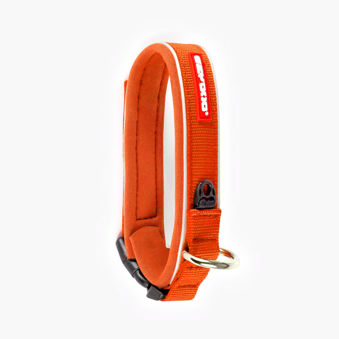 Dog Collar product image 32