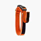 Dog Collar product image 33