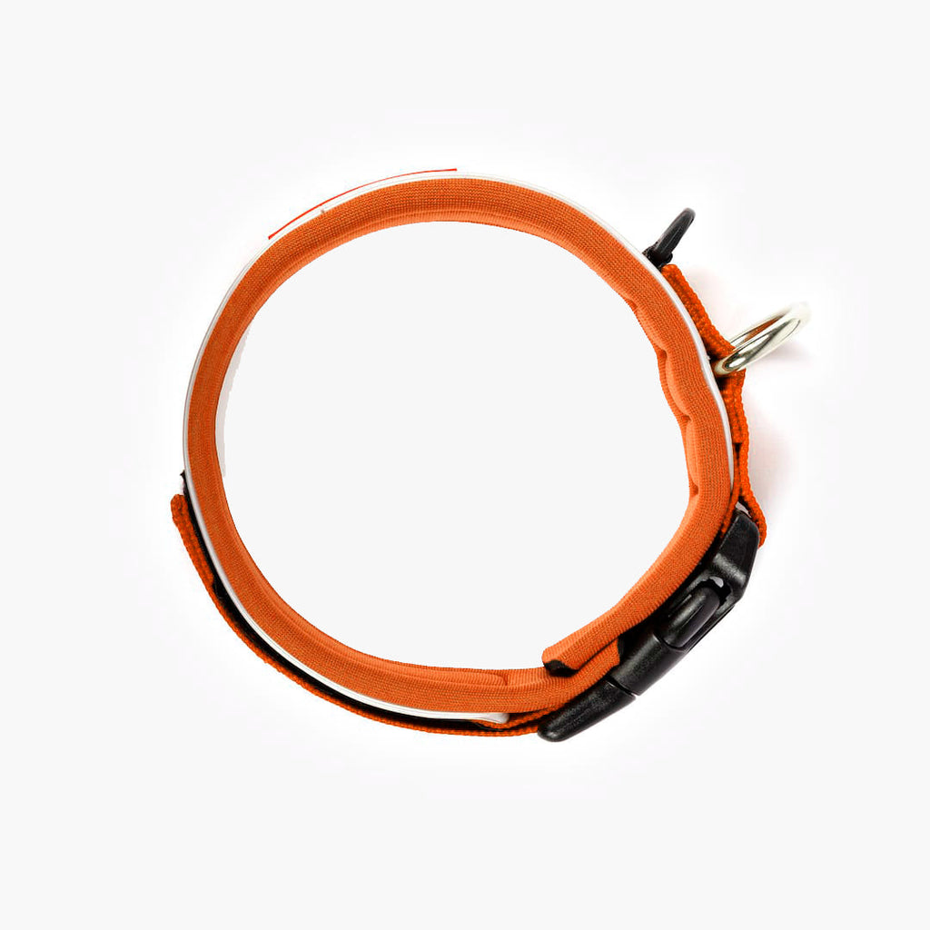 Dog Collar product image 35