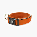 Dog Collar product image 36