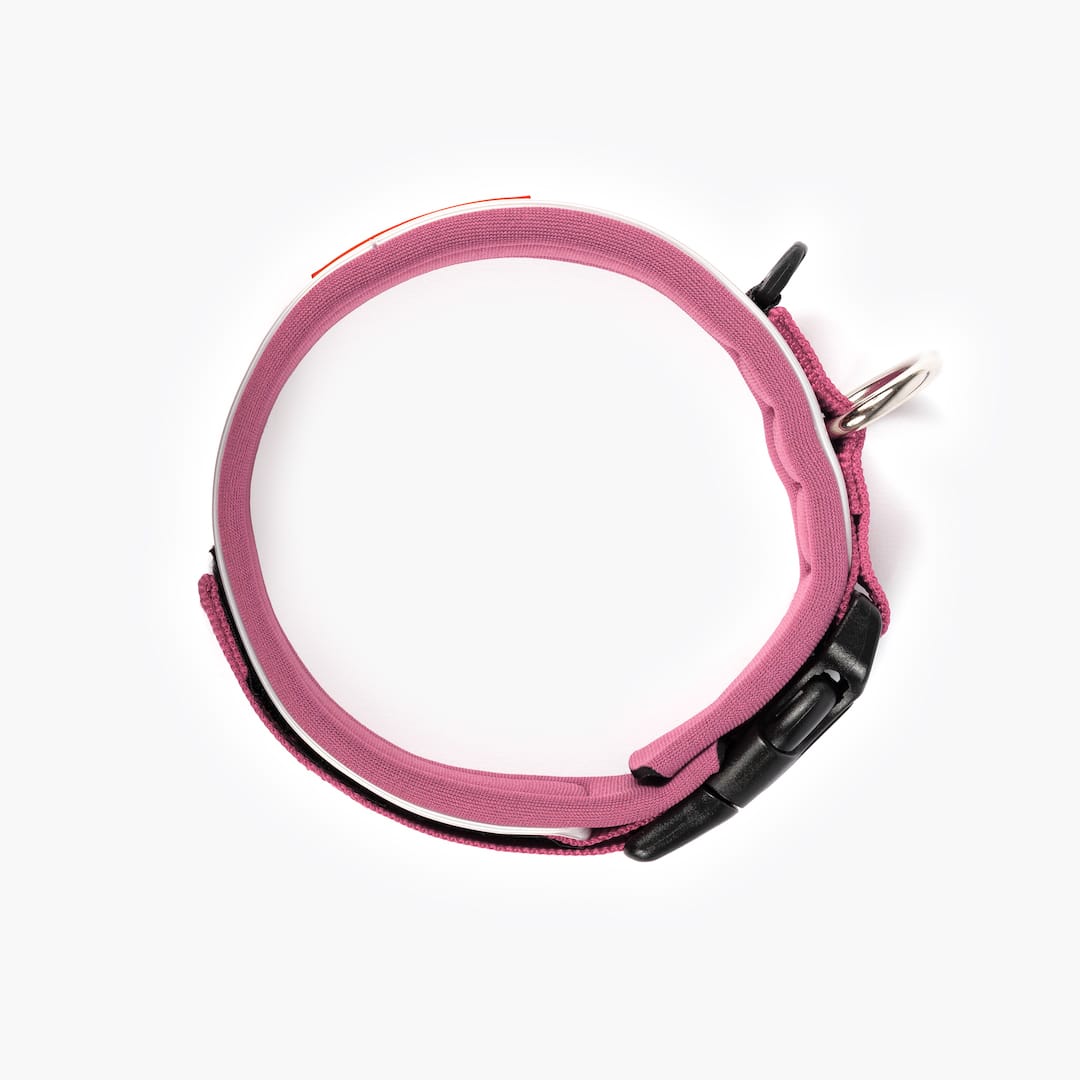 Dog Collar product image 37
